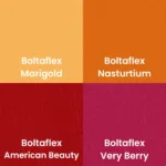 Malibu retro chairs swatches