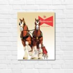 Clydesdale